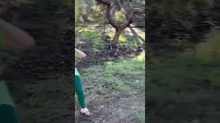 That Escalated Quickly