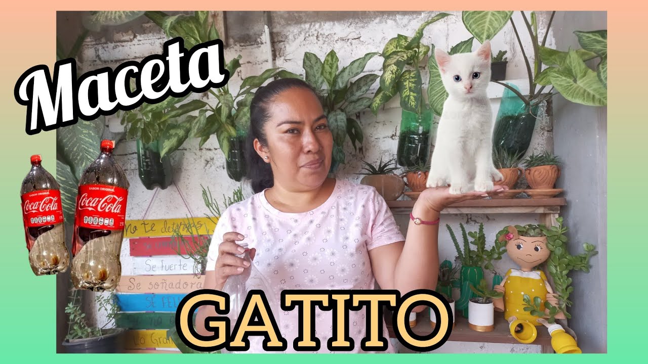 Como hacer una maceta de animalito con botellas de refresco/ maceta de gatito 