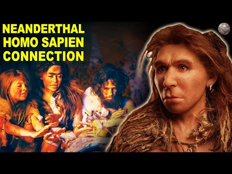 Video: Interbreeding Of Homo Sapiens And Neanderthals Moved Tens Of Thousands Of Years Ago - Alternative View
