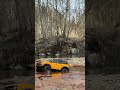TRAXXAS TRX4M OFF-ROAD 🔥 #viral #trending #offroad #4x4rwd #trx4m #axial #rcoffoad #trx4 #rc