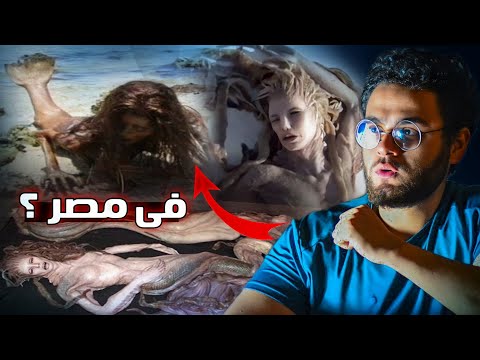 فيديو: هل كانت حرية البحار؟