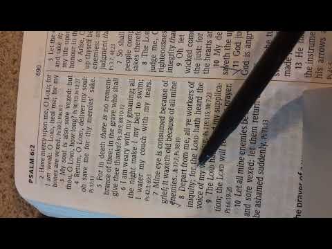 #6 Tuesday's Bible Reading 🙏