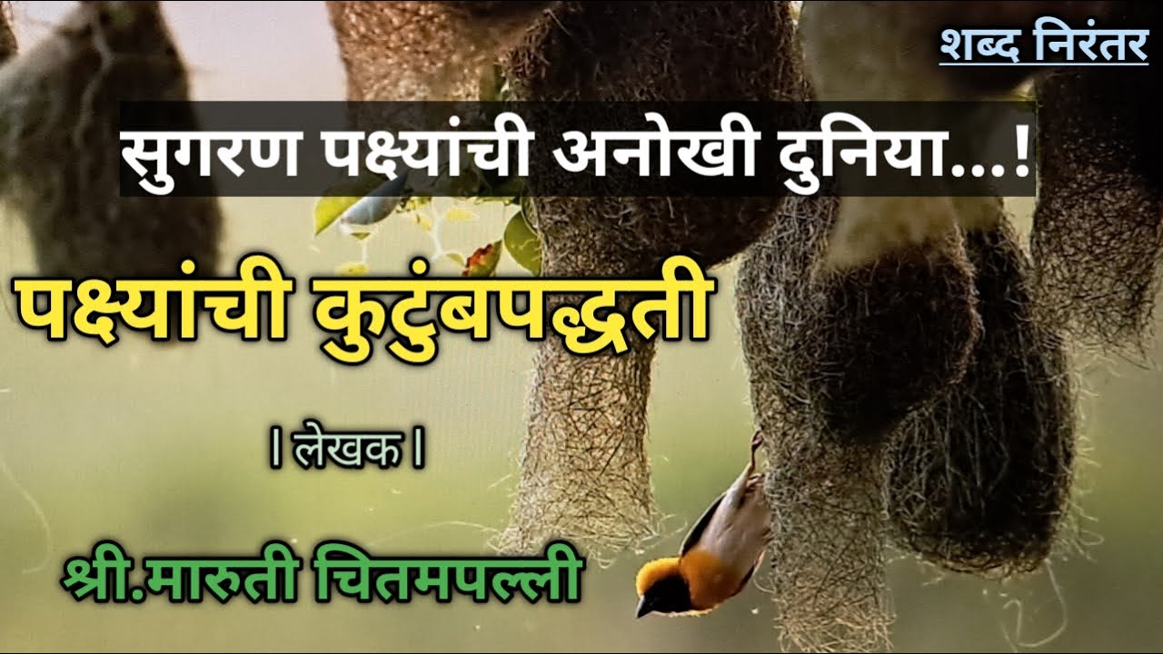 पक्ष्यांची कुटुंबपद्धती, लेखक : श्री.मारुती चितमपल्ली