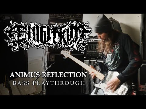 ÆNIGMATUM - Animus Reflection (Brian Rush Bass Playthrough)