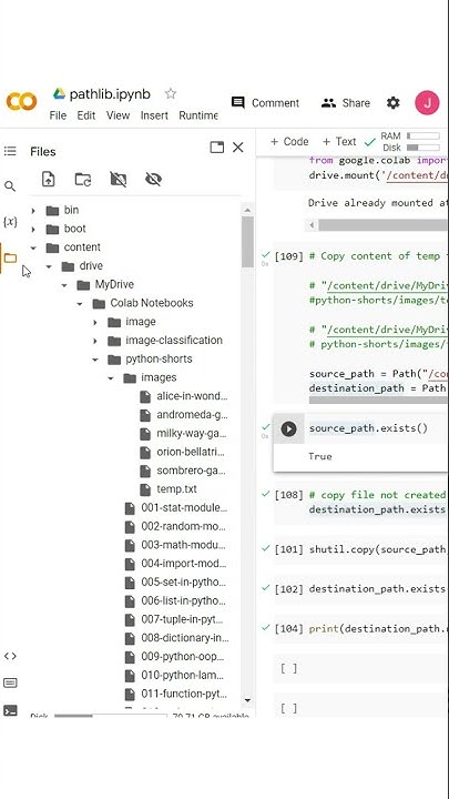 How to Copy Content of a File to Another in Python Using Shutil Module ...