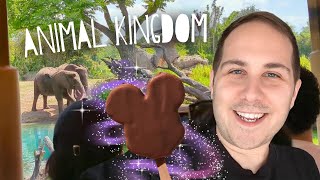 We went to Animal Kingdom and the Asian Grocery Store - Disney World