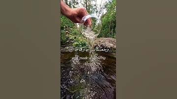 سورة النبأ بصوت القارئ إسلام صبحي