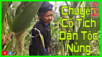 Tiếng Nùng - Chuyện Đi Tìm Mẹ Và Cây Bầu | Chuyện Cổ Tích Dân Tộc Nùng