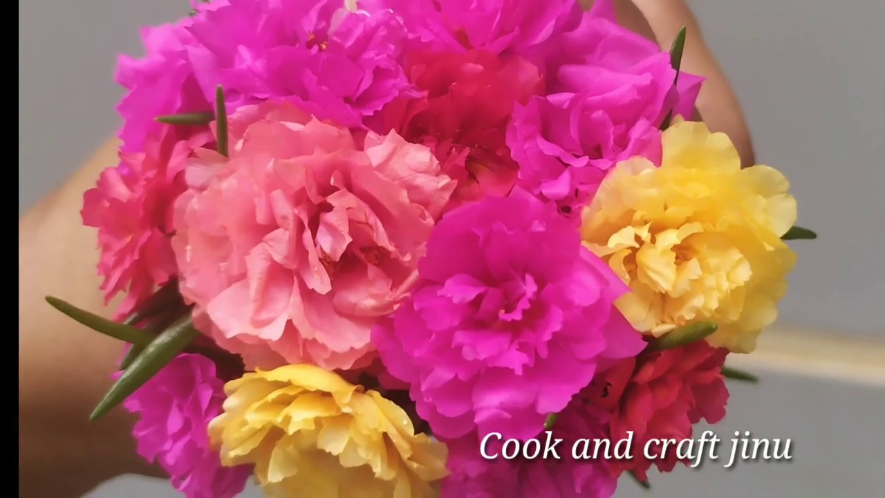 How to grow table rose_ moss rose/moss rose decor idea/cook and craft
