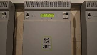 Відгук про стабілізатор Quant 11