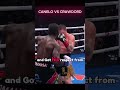 Canelo vs Crawford | Best Highlight #boxing #kickboxing #sports #mma #boxeo #box #boxingday #fighter
