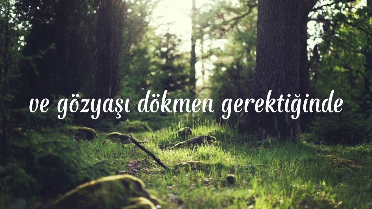 Helvegen - Kalandra Cover | Türkçe Çeviri Helvegen - Kalandra Cover | Türkçe Çeviri