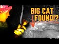 I Found A &quot;BIG&quot; CAT! 3 Days Solo Camping BIG CAT UK Search