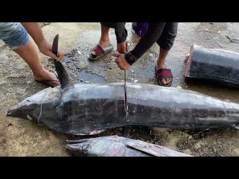 FISH CUTTING🔥FISH CUTTING SKILLS,FISH CUTTING VIDEOS FISH CUTTING🔥FISH CUTTING SKILLS,FISH CUTTING VIDEOS