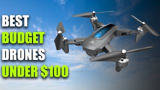 HOLY STONE HS280D - BEST BUDGET DRONES UNDER $100