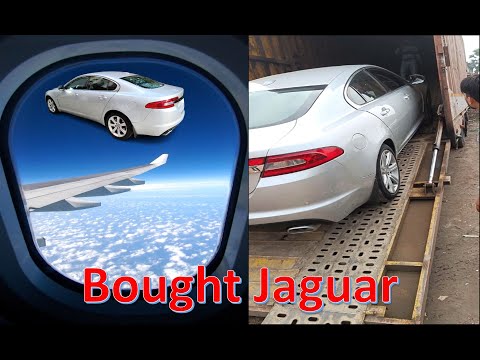 Видео: Bought Jaguar