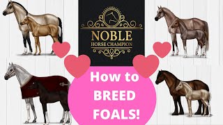 How to breed your horses, gain XP and credits on NOBLE HORSE CHAMPION screenshot 5