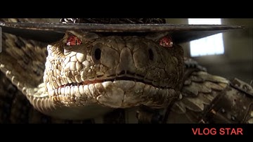 Rango but it just the only Rattlesnake Jake