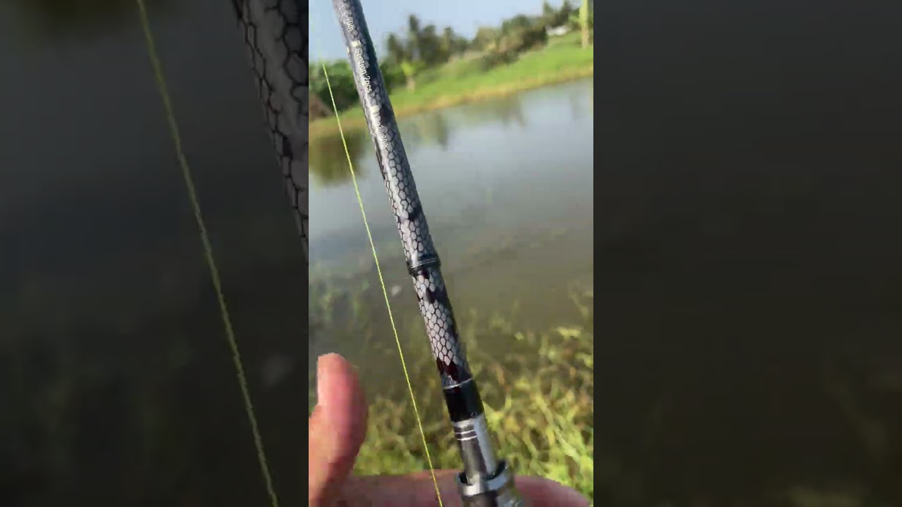 Đệ tử báo hugo chùm mả nha ae🎣🎣🎣