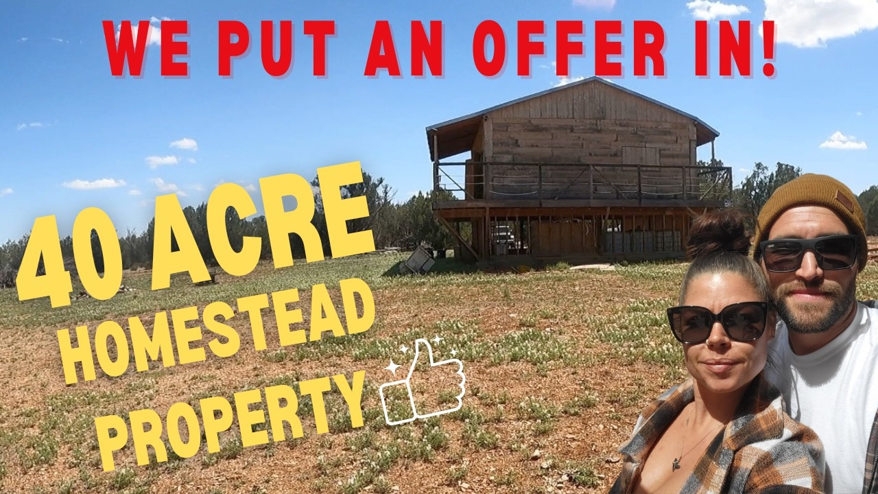 40 Acre Property | Homestead Land | North Arizona
