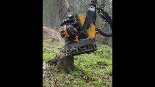 Ağaçları Seri Bir Şekilde Kesme Ve Bölme Makinası Ğaçkesme