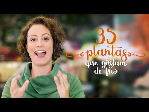 Vídeo: Jardinagem em clima frio - cultivo de plantas perenes resistentes em regiões mais frias