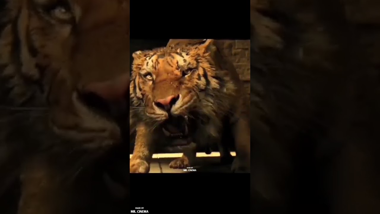 Hollywood Movie Seen 