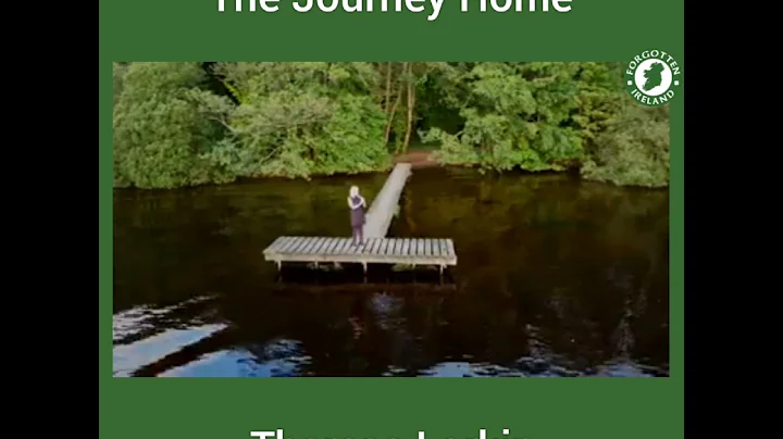 The Journey Home - Theresa Larkin