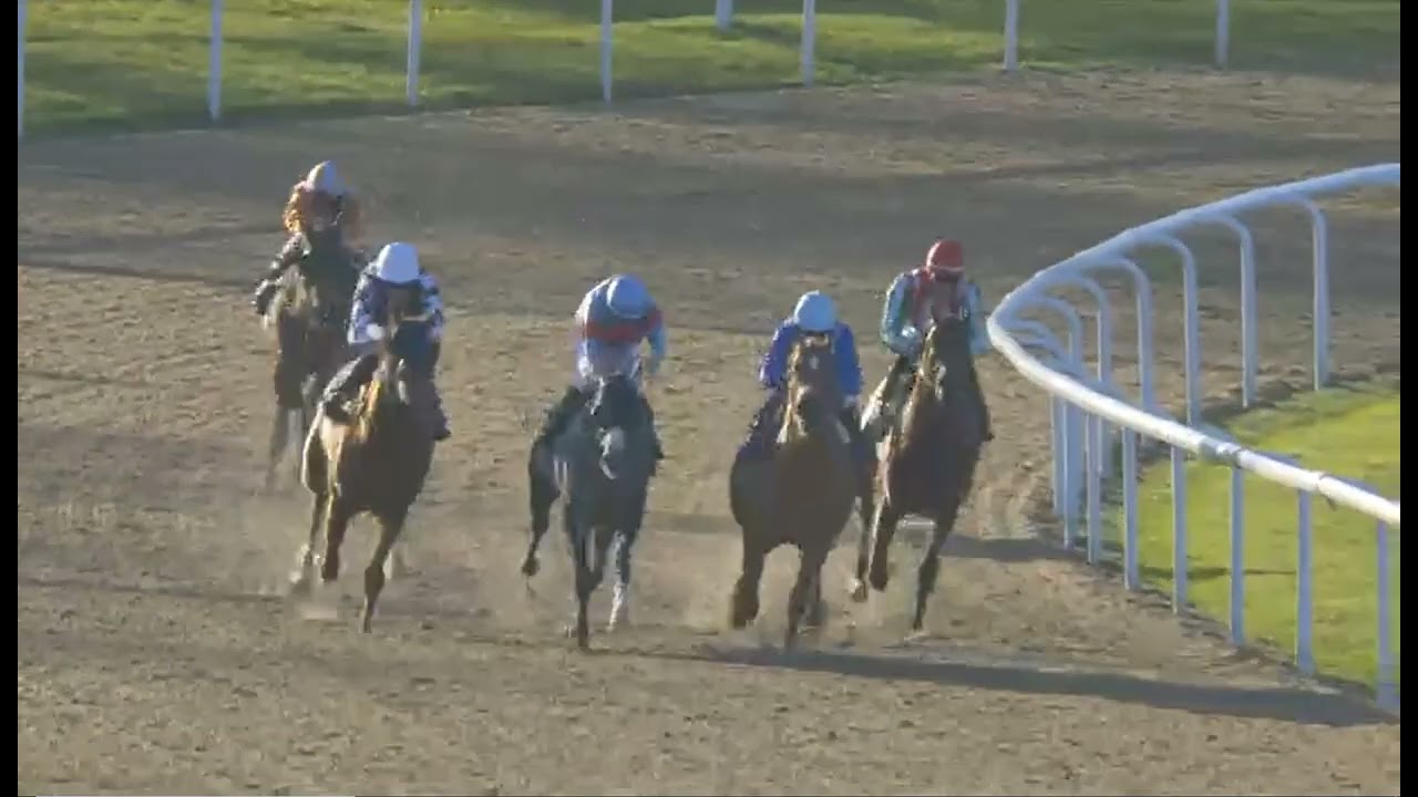 Гонка 2 - Вулверхэмптон, Великобритания - 26 декабря 2025 г.