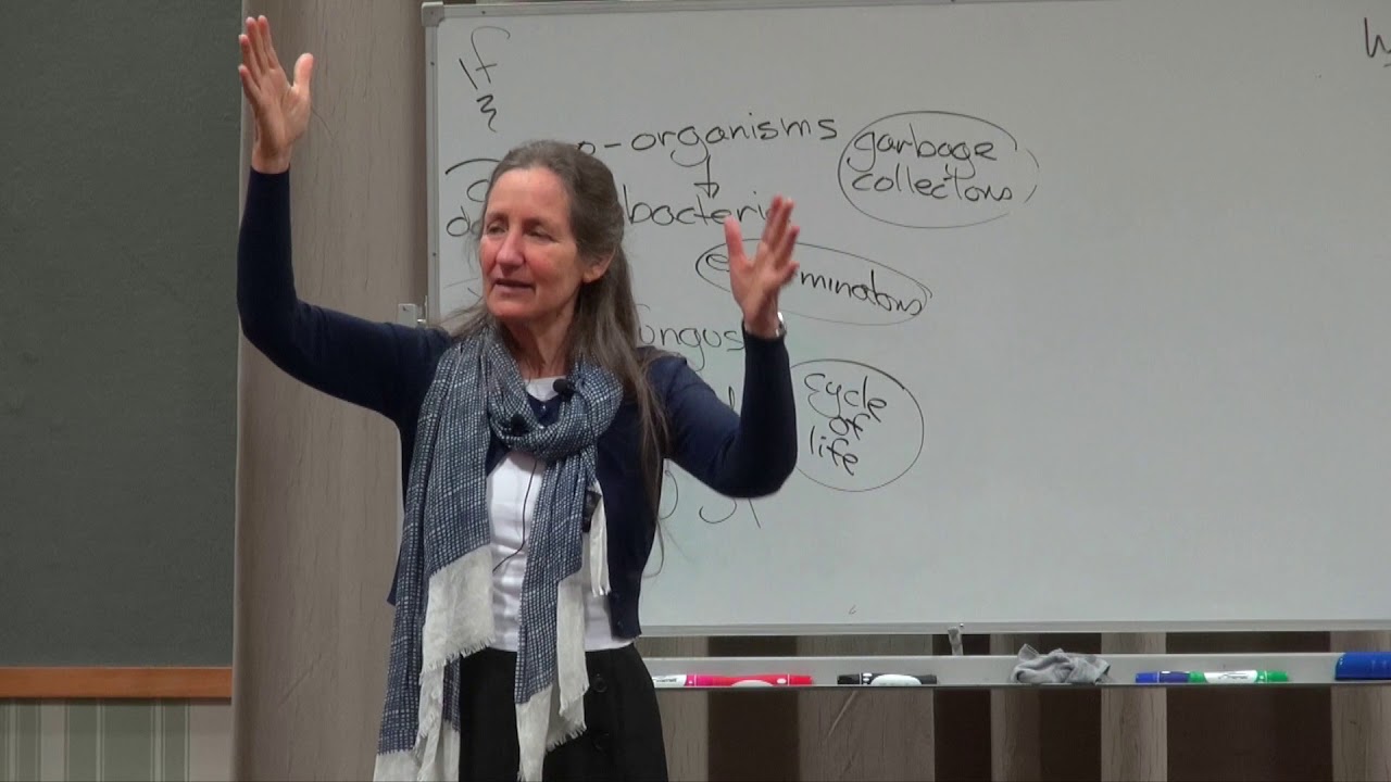 Barbara O'Neill - Part 2: The role that microbes play in disease - YouTube