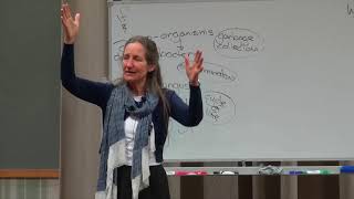 Barbara O'Neill - Part 2: The role that microbes play in disease by Wicklow Street 44,523 views 6 years ago 56 minutes