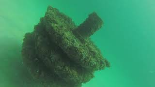Cobia Reef # 1 of 2 02022020