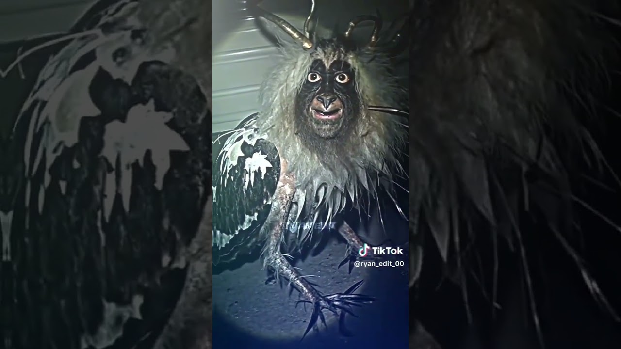 I think it's a monster 👹 bird 