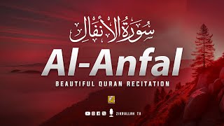 Surah Al Anfal سورة الأنفال | Relaxing Healing Quran Recitation | Zikrullah Tv
