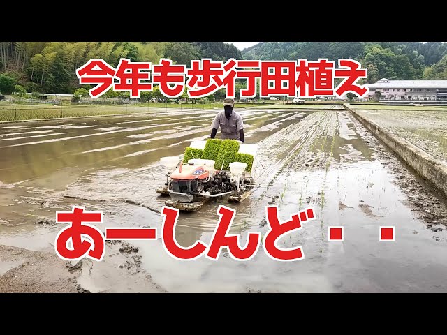 令和5年度の田植え！ - YouTube