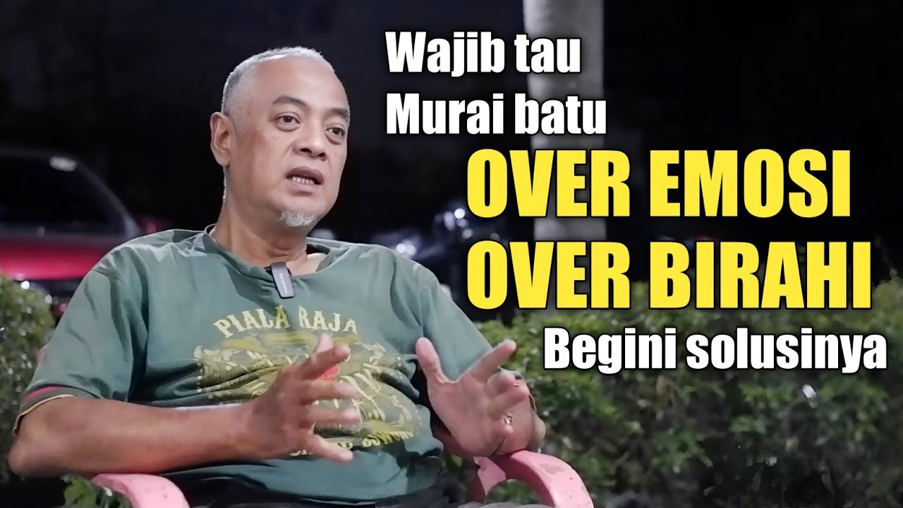 TIPS MERAWAT MURAI OVER EMOSI DAN OVER BIRAHI ‼️
