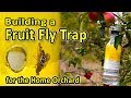 An effective Fruit Fly Trap for the Home Orchard | Reducing Medfly damage in Apples and other fruits