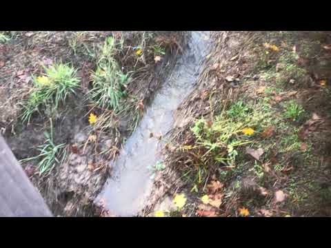 Seasonal Creek - Seasonal Creek