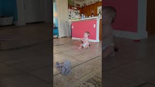 Baby plays with dog leash near kitchen island then dog walks away and baby faceplants