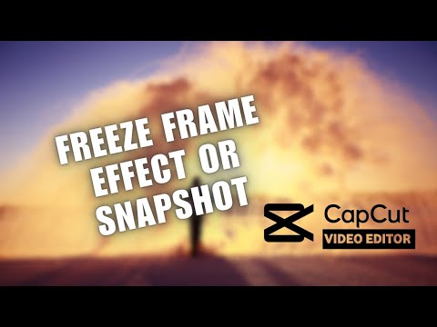 ✅ Freeze Frame Effect or Snapshot Effect | CapCut PC Tutorial | 2024