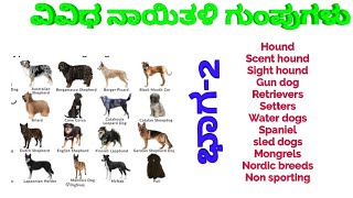 Details about Hounds, gun dogs, Retriever, water dogs, spaniel, Mongrel, sled dogs non sporting dog