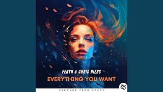 Everything You Want (Extended Mix)