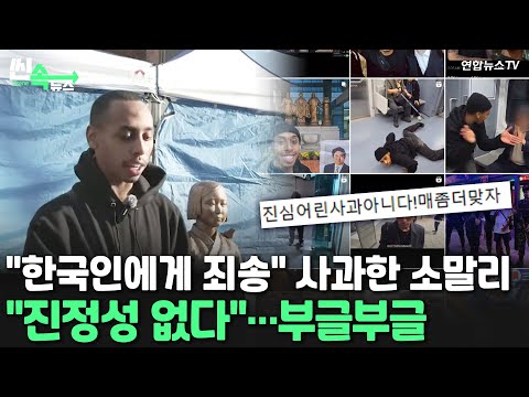 [씬속뉴스] &amp;#39;소녀상 모욕&amp;#39; 소말리 &amp;quot;사과&amp;quot;<strong>에도</strong> 반응은 싸늘…패악질 영상은 안내렸다 / 연합뉴스TV (YonhapnewsTV)