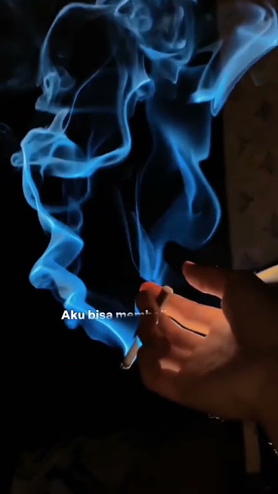 story wa: terbaru sadar diri