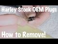 Harley Davidson OEM Wire Signal Connector Molex Harness Plug Removal-How To Take Apart