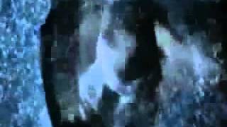 Breaking Dawn Teaser Trailer 2011.mp4