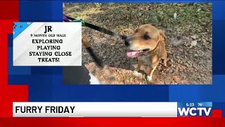Furry Friday: Meet JR!