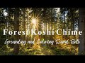 Forest koshi chime  gentle  grounding sound bath   432 hz