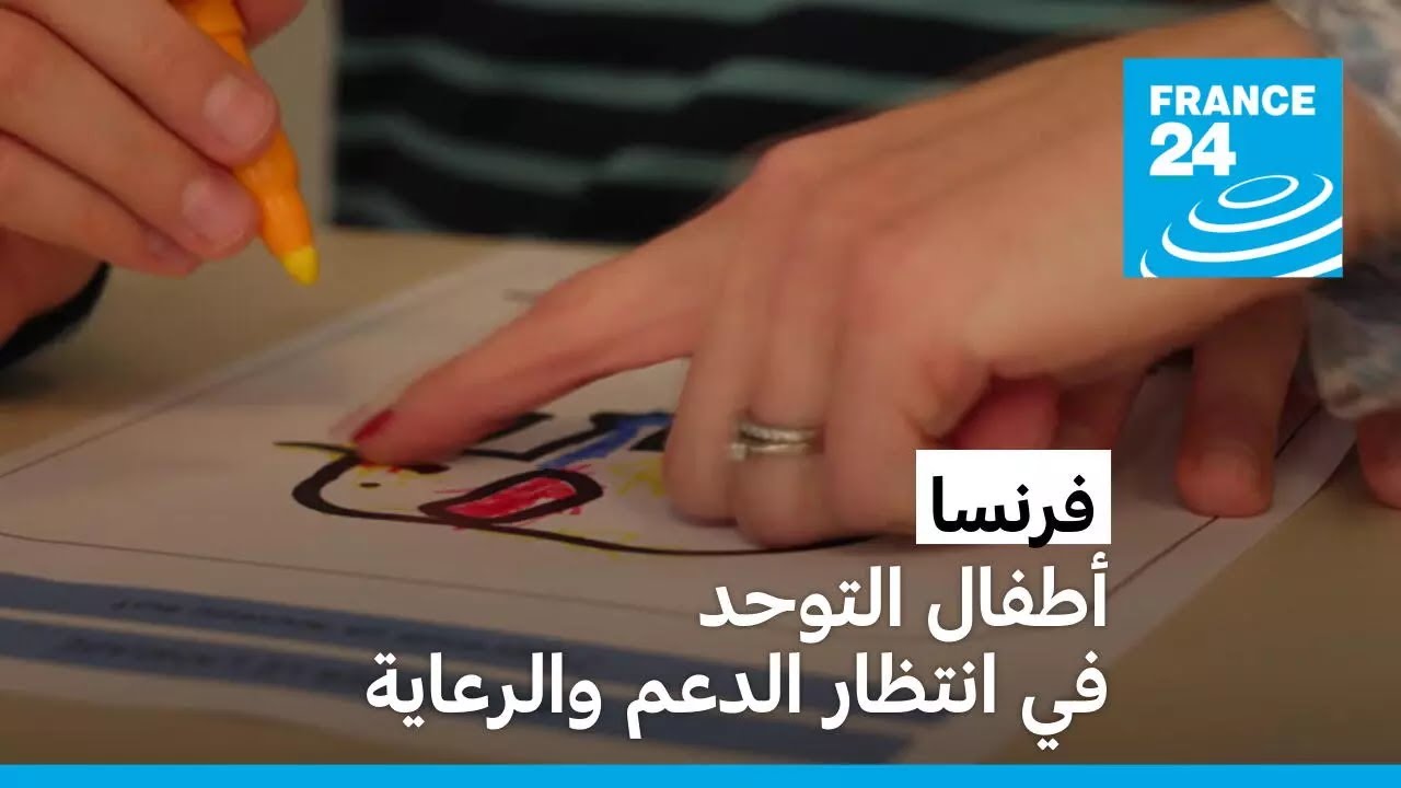 فرنسا: أطفال التوحد في انتظار الدعم والرعاية • فرانس 24