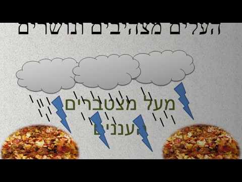 וִידֵאוֹ: איך לבלות את סוף השבוע בסתיו ברווחיות